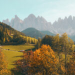 natures 01