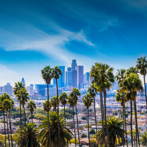 Panorama Los Angeles o zachodzie słońca z palmami i wieżowcami – kursy języka angielskiego dający szanse na podróże i inne nowe mozliwości